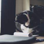 探索神话平台注册的独特优势与用户体验 111urbqk