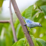 探索皇冠搏彩平台的魅力与游戏体验,畅享无限乐趣 2g48d9dg2