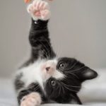 探索海立方备用网址的安全性与可靠性分析 31x87v