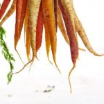 金冠糖果派对:畅享甜蜜时光的欢乐盛宴 3wsauw6bf