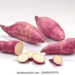 探索百利宫赌场:奢华娱乐与刺激游戏的完美结合 46549