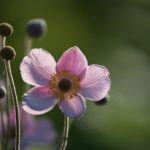 金沙平台登录步骤详解,助你轻松畅玩各类游戏 4fd4l1