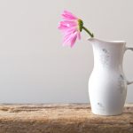 探索红树林登录网址的使用技巧与注意事项 r66ug9p