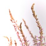 金沙城中心注册流程详解,轻松开启您的娱乐之旅 wnixngs