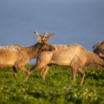 探索百盛娱乐电子游戏的多样化选择与精彩活动 xgespyv