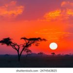 探索游艇会最新官方网站,获取独家活动与会员资讯 zhxo3b15